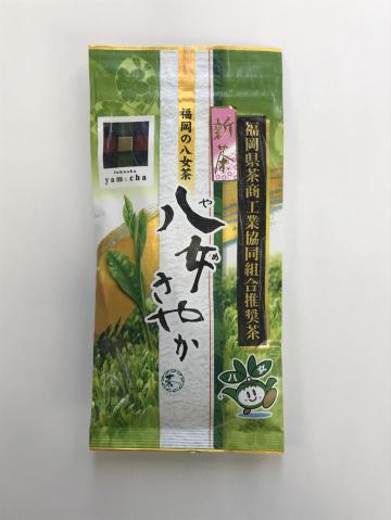八女さやか　新茶