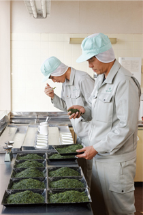 1.審【みる】優れた茶葉の厳選がいいお茶作りの第一歩