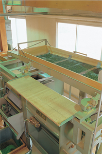 3.揃【揃える】茶葉の形を均一に揃えます。